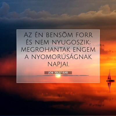 Picture 07 - Jób 30:27 KAR - Az én bensõm forr és nem nyugoszik; - Bible Verse Picture