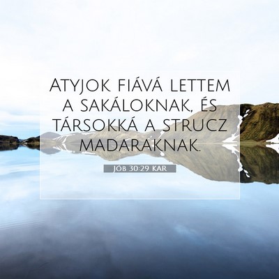 Picture 07 - Jób 30:29 KAR - Atyjok fiává lettem a sakáloknak, és - Bible Verse Picture