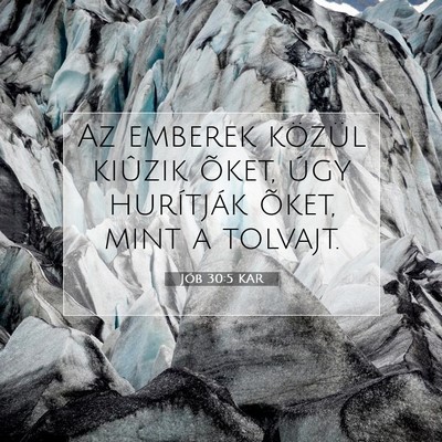 Picture 07 - Jób 30:5 KAR - Az emberek közül kiûzik õket, úgy hurítják - Bible Verse Picture