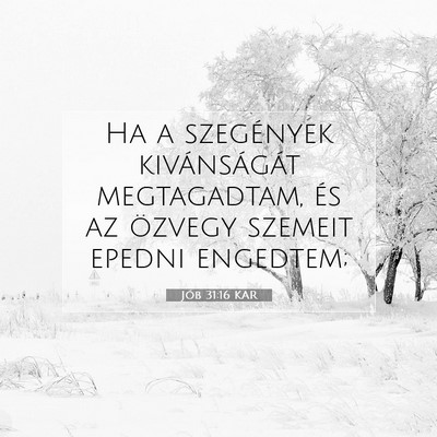 Picture 07 - Jób 31:16 KAR - Ha a szegények kivánságát megtagadtam, és az - Bible Verse Picture