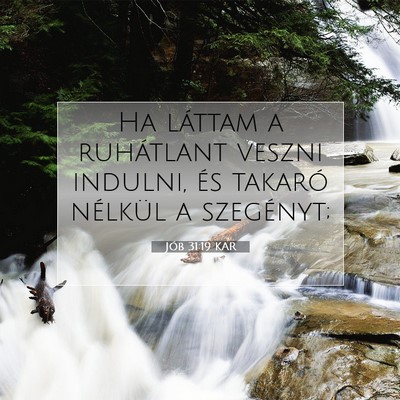 Picture 07 - Jób 31:19 KAR - Ha láttam a ruhátlant veszni indulni, és - Bible Verse Picture