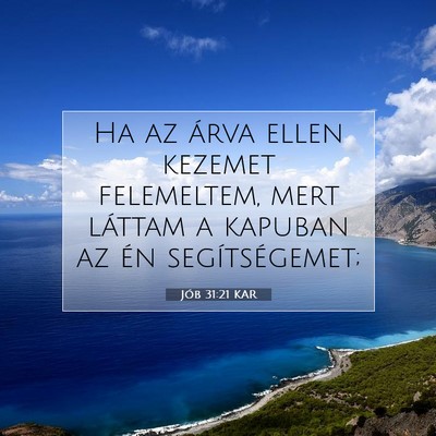 Picture 07 - Jób 31:21 KAR - Ha az árva ellen kezemet felemeltem, mert - Bible Verse Picture