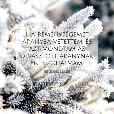 Picture 07 - Jób 31:24 KAR - Ha reménységemet aranyba vetettem, és azt - Bible Verse Picture