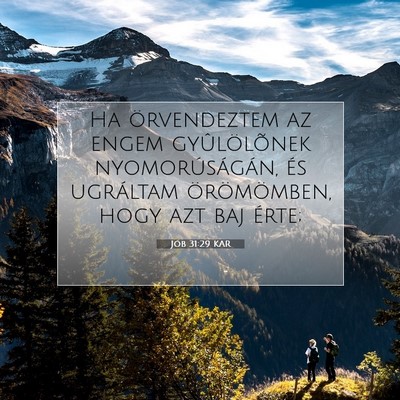 Picture 07 - Jób 31:29 KAR - Ha örvendeztem az engem gyûlölõnek - Bible Verse Picture
