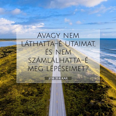 Picture 07 - Jób 31:4 KAR - Avagy nem láthatta-é utaimat, és nem - Bible Verse Picture
