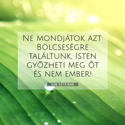Picture 07 - Jób 32:13 KAR - Ne mondjátok azt: Bölcseségre találtunk, - Bible Verse Picture