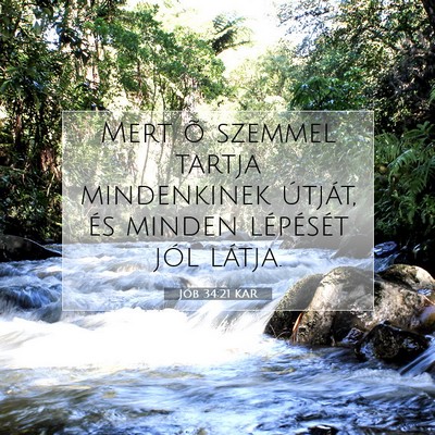Picture 07 - Jób 34:21 KAR - Mert õ szemmel tartja mindenkinek útját, és - Bible Verse Picture