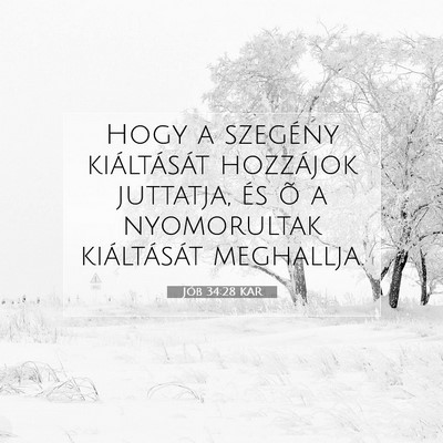 Picture 07 - Jób 34:28 KAR - Hogy a szegény kiáltását hozzájok juttatja, - Bible Verse Picture