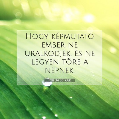 Picture 07 - Jób 34:30 KAR - Hogy képmutató ember ne uralkodjék, és ne - Bible Verse Picture