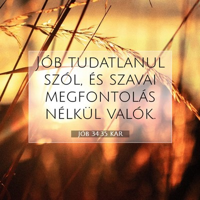 Picture 07 - Jób 34:35 KAR - Jób tudatlanul szól, és szavai megfontolás - Bible Verse Picture