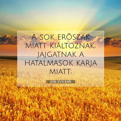 Picture 07 - Jób 35:9 KAR - A sok erõszak miatt kiáltoznak; jajgatnak a - Bible Verse Picture