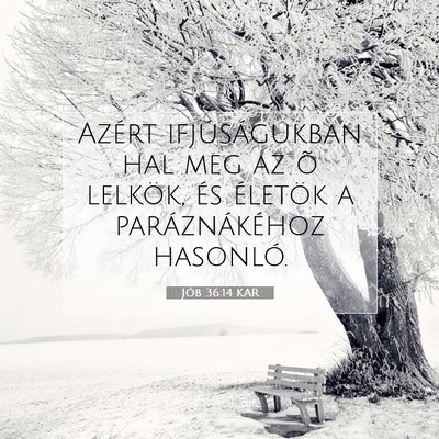 Picture 07 - Jób 36:14 KAR - Azért ifjúságukban hal meg az õ lelkök, és - Bible Verse Picture