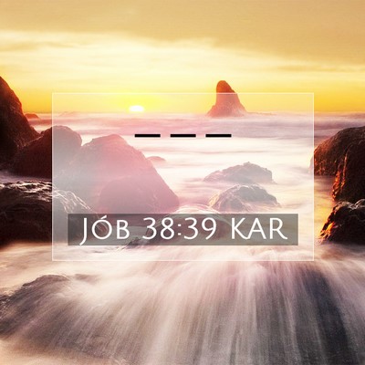 Picture 07 - Jób 38:39 KAR -  - Bible Verse Picture