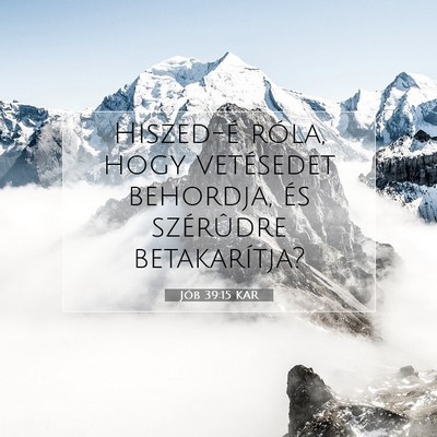 Picture 07 - Jób 39:15 KAR - Hiszed-é róla, hogy vetésedet behordja, és - Bible Verse Picture