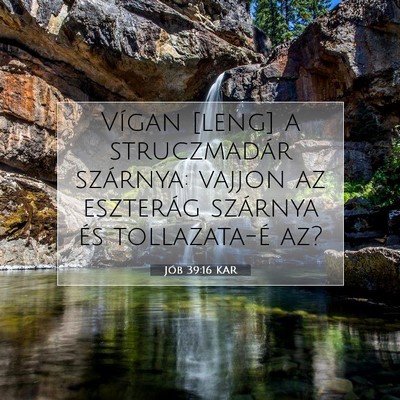 Picture 07 - Jób 39:16 KAR - Vígan [leng] a struczmadár szárnya: vajjon az - Bible Verse Picture
