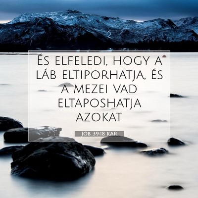 Picture 07 - Jób 39:18 KAR - És elfeledi, hogy a láb eltiporhatja, és a - Bible Verse Picture
