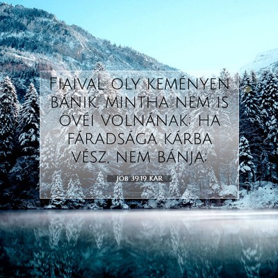 Picture 07 - Jób 39:19 KAR - Fiaival oly keményen bánik, mintha nem is - Bible Verse Picture