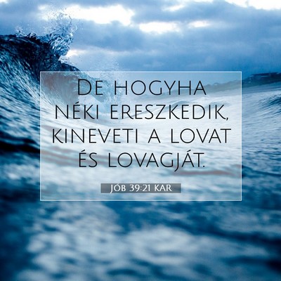 Picture 07 - Jób 39:21 KAR - De hogyha néki ereszkedik, kineveti a lovat és - Bible Verse Picture