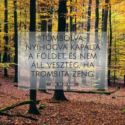 Picture 07 - Jób 39:27 KAR - Tombolva, nyihogva kapálja a földet, és nem - Bible Verse Picture