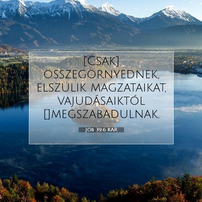 Picture 07 - Jób 39:6 KAR - [Csak] összegörnyednek, elszülik magzataikat, - Bible Verse Picture