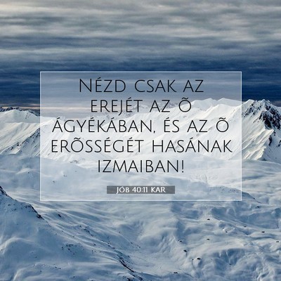Picture 07 - Jób 40:11 KAR - Nézd csak az erejét az õ ágyékában, és az - Bible Verse Picture