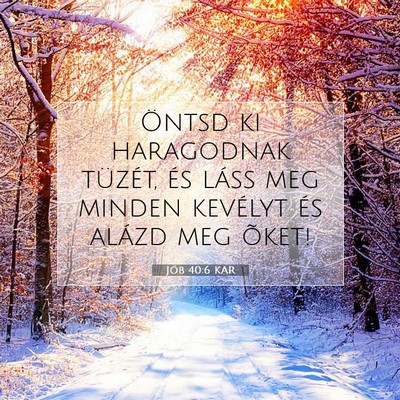 Picture 07 - Jób 40:6 KAR - Öntsd ki haragodnak tüzét, és láss meg - Bible Verse Picture