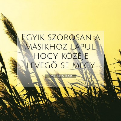 Picture 07 - Jób 41:16 KAR - Egyik szorosan a másikhoz lapul, hogy közéje - Bible Verse Picture
