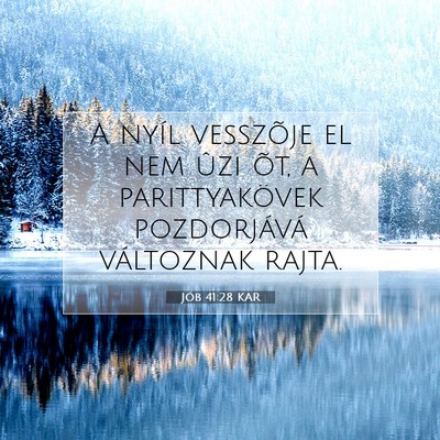 Picture 07 - Jób 41:28 KAR - A nyíl vesszõje el nem ûzi õt, a - Bible Verse Picture
