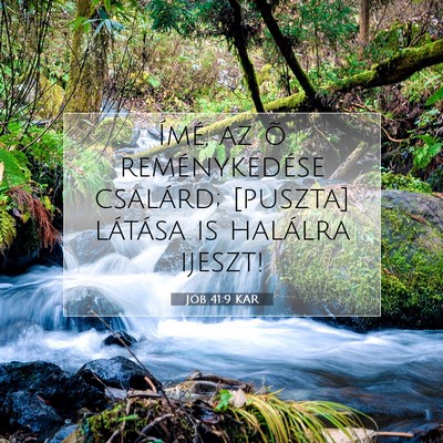 Picture 07 - Jób 41:9 KAR - Ímé, az õ reménykedése csalárd; [puszta] - Bible Verse Picture