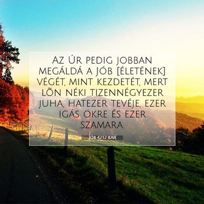 Picture 07 - Jób 42:12 KAR - Az Úr pedig jobban megáldá a Jób [életének] - Bible Verse Picture