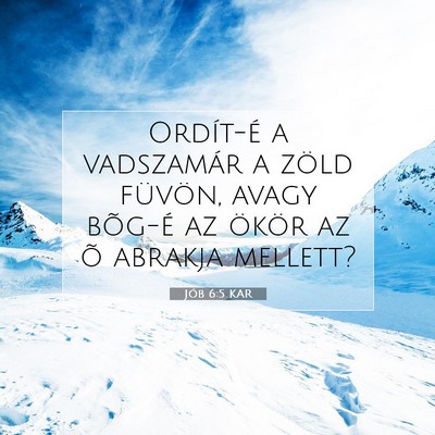 Picture 07 - Jób 6:5 KAR - Ordít-é a vadszamár a zöld füvön, avagy - Bible Verse Picture