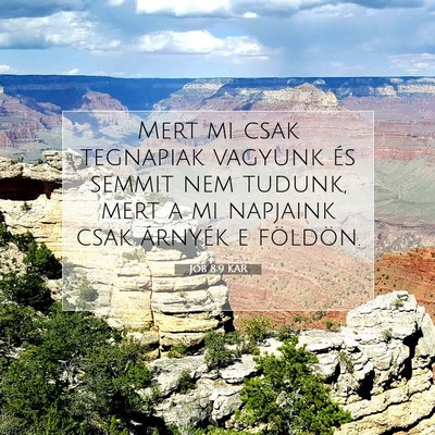 Picture 07 - Jób 8:9 KAR - Mert mi csak tegnapiak vagyunk és semmit nem - Bible Verse Picture