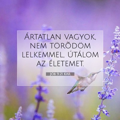 Picture 07 - Jób 9:21 KAR - Ártatlan vagyok, nem törõdöm lelkemmel, - Bible Verse Picture