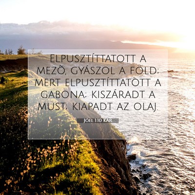 Picture 07 - Jóel 1:10 KAR - Elpusztíttatott a mezõ, gyászol a föld; mert - Bible Verse Picture
