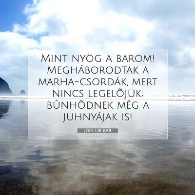 Picture 07 - Jóel 1:18 KAR - Mint nyög a barom! Megháborodtak a - Bible Verse Picture