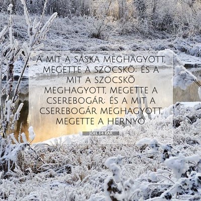 Picture 07 - Jóel 1:4 KAR - A mit a sáska meghagyott, megette a szöcskõ; - Bible Verse Picture