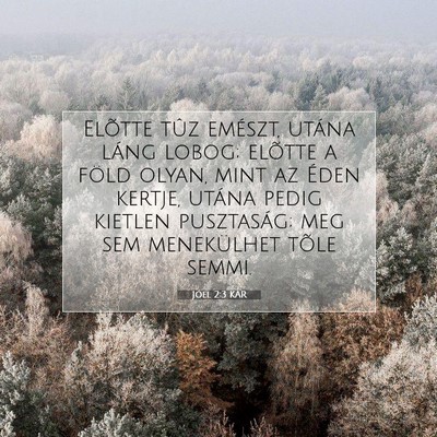 Picture 07 - Jóel 2:3 KAR - Elõtte tûz emészt, utána láng lobog; elõtte - Bible Verse Picture