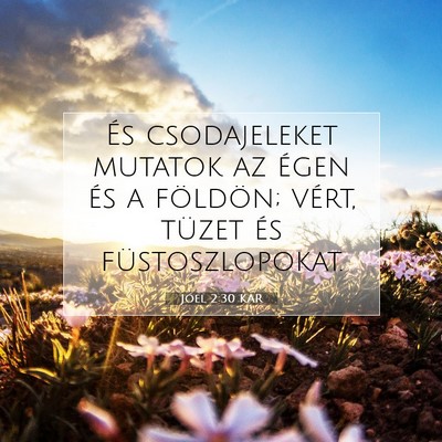 Picture 07 - Jóel 2:30 KAR - És csodajeleket mutatok az égen és a földön; - Bible Verse Picture