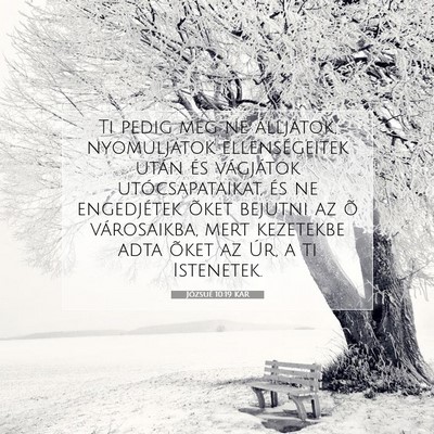 Picture 07 - Józsué 10:19 KAR - Ti pedig meg ne álljatok, nyomuljatok - Bible Verse Picture