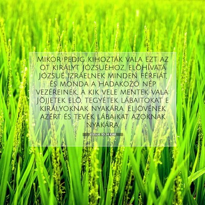 Picture 07 - Józsué 10:24 KAR - Mikor pedig kihozták vala ezt az öt királyt - Bible Verse Picture