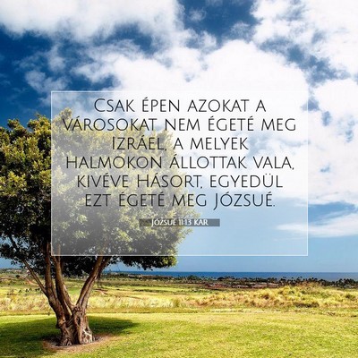 Picture 07 - Józsué 11:13 KAR - Csak épen azokat a városokat nem égeté meg - Bible Verse Picture