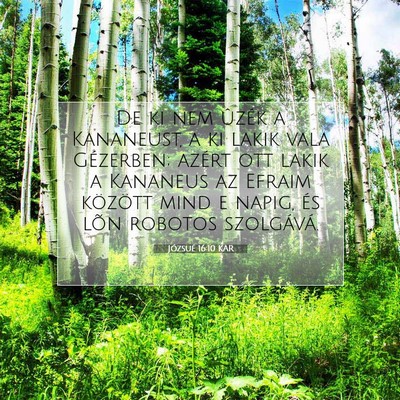 Picture 07 - Józsué 16:10 KAR - De ki nem ûzék a Kananeust, a ki lakik vala - Bible Verse Picture