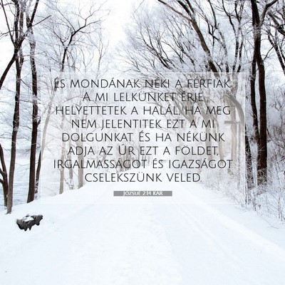 Picture 07 - Józsué 2:14 KAR - És mondának néki a férfiak: A mi lelkünket - Bible Verse Picture