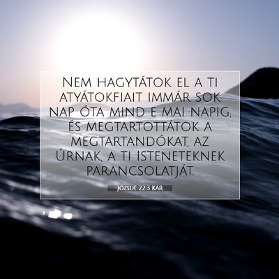 Picture 07 - Józsué 22:3 KAR - Nem hagytátok el a ti atyátokfiait immár sok - Bible Verse Picture