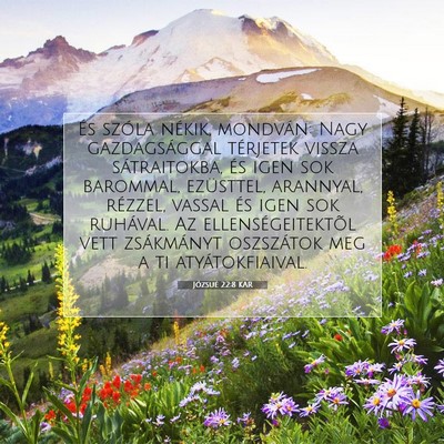 Picture 07 - Józsué 22:8 KAR - És szóla nékik, mondván: Nagy gazdagsággal - Bible Verse Picture
