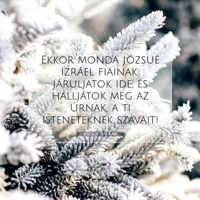 Picture 07 - Józsué 3:9 KAR - Ekkor monda Józsué Izráel fiainak: Járuljatok - Bible Verse Picture