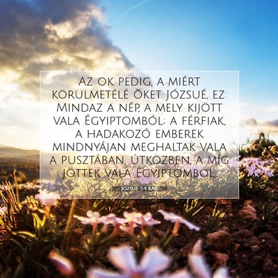 Picture 07 - Józsué 5:4 KAR - Az ok pedig, a miért körülmetélé õket - Bible Verse Picture