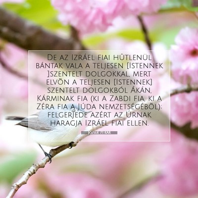 Picture 07 - Józsué 7:1 KAR - De az Izráel fiai hûtlenül bántak vala a - Bible Verse Picture