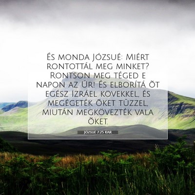 Picture 07 - Józsué 7:25 KAR - És monda Józsué: Miért rontottál meg minket? - Bible Verse Picture
