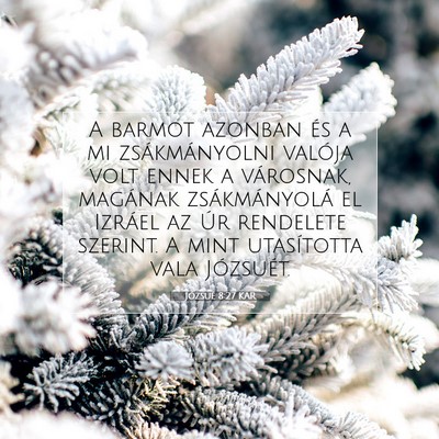 Picture 07 - Józsué 8:27 KAR - A barmot azonban és a mi zsákmányolni valója - Bible Verse Picture